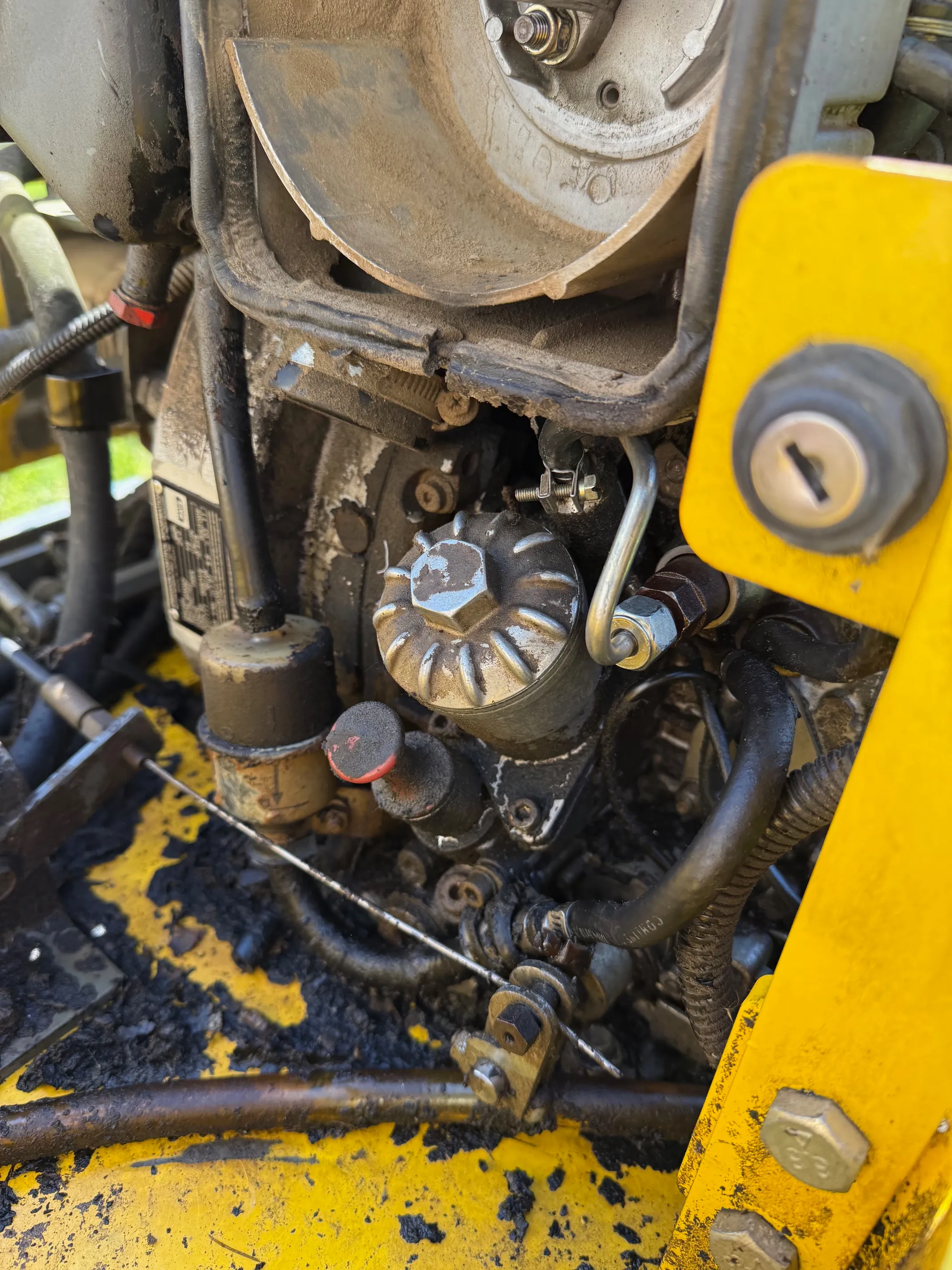 javitas 10
