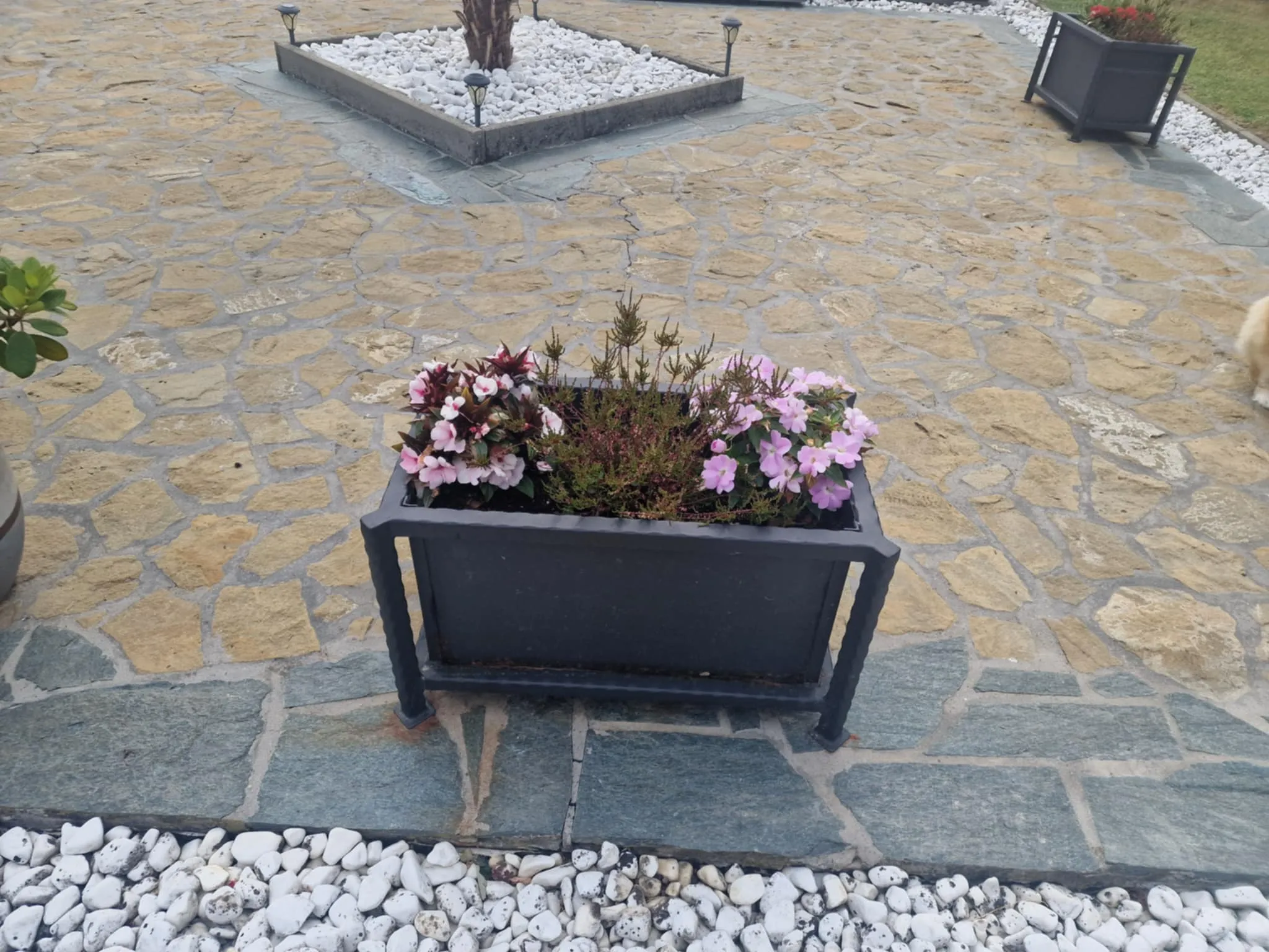 Különlegesség 9